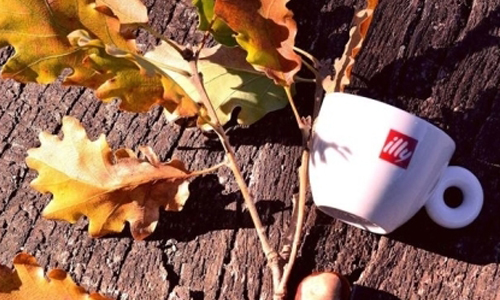 文青就是腳勤：咖啡野餐日Party！ 展覽、表演、藝文活動、活動、假日