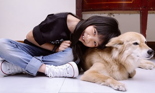 妞專訪：「讓我們用愛來圍繞流浪動物！」Wanying Hsu拯救失智流浪動物 插畫、動物、狗、貓、流浪狗