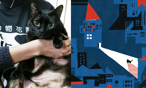 每隻貓都是好貓！11貓1狗「大家長」達姆的插畫與流浪動物 達姆、流浪動物花園、TAKE ME HOME、流浪動物、愛心