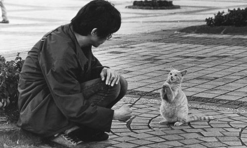 妞專訪：拍貓是一種鐵漢柔情  攝影師吳毅平的貓咪二三事 妞專訪、Take me home、流浪動物花園、吳毅平、流浪動物