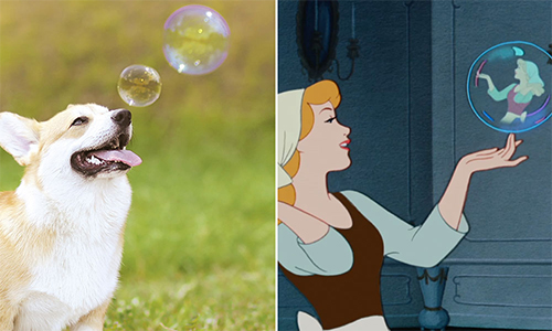 皇室裡的諧星就是牠！10張照片證明柯基應該加入迪士尼 迪士尼、Disney、柯基、corgi、萌