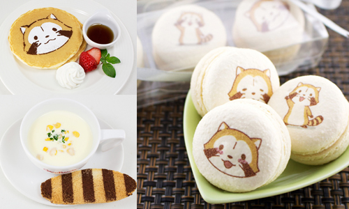 裝載暖心回憶的馬卡龍❤ 福岡「小浣熊咖啡廳」療癒登場 愛玩妞、日本、福岡、小浣熊、咖啡廳