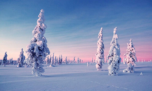 [友站新聞]一輩子浪漫一次就夠了！水晶玻璃屋讓我們一起看極光 La Vie、極光、北歐、芬蘭、Kakslauttanen Arctic Resort 、雪屋、Snow Igloos