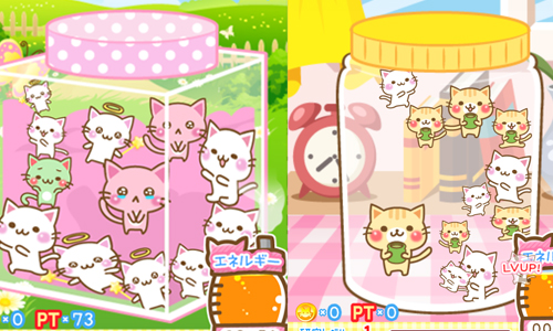 看胖萌貓貓玩瓶中躲避球！重症貓奴必備的養成App《信息貓研究所》攻略 攻略、信息貓研究所、メッセージにゃんこ研究所、メッセージにゃんこ、手機