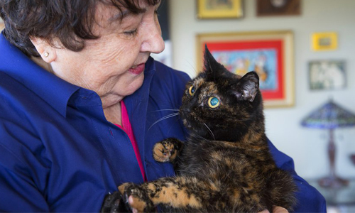 世界最老貓咪去當天使了！永遠沉睡的27歲喵星人 貓、老貓、金氏世界紀錄、喵星人、動物