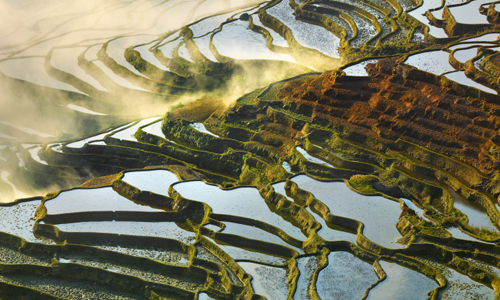 這裡就是人間天堂嗎？雲南梯田照媲美夢幻仙境 Thierry Bornier、攝影、仙境、夢幻、雲南