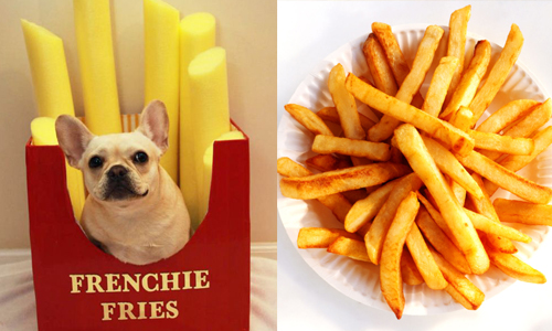 喜歡薯塊的人比較保守？不同薯條分析你是哪種類型的人 性向測驗、測驗、薯條、薯塊、薯圈圈