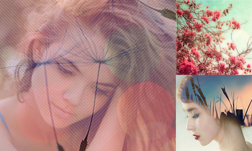 07/02限時免費App特輯：2款超夢幻的修圖軟體 限免、免費、特價、iPhone、App