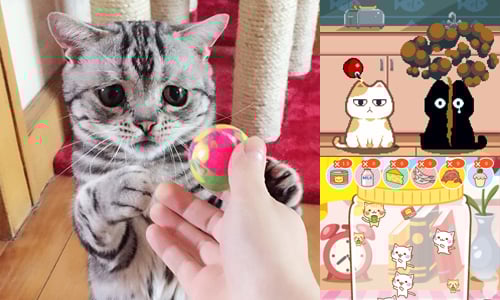 7月8大精選App：玩不膩的呆萌動物遊戲 手機、App、遊戲、精選、動物