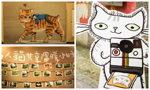 從貓咪視角看世界　今夏最療癒喵視界影像特展 貓、貓咪、喵星人、攝影、喵視界