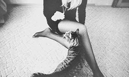 [友站新聞] 不戀愛真好！ 不戀愛的18個優點 Pikicast、taiwan、戀愛