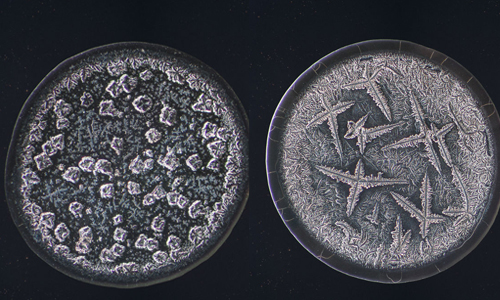 想哭就盡情地哭吧！顯微鏡下的每滴眼淚都是獨一無二 Imaginarium Of Tears、Maurice Mikkers、情感、顯微鏡、哭、眼淚、淚水、珍貴、研究、科學、攝影、結晶、藝術