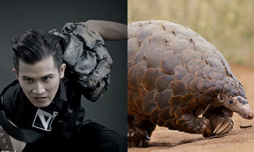 比特異功能不行那用歌聲定孤支！台灣驚奇4超人歌唱PK賽 陳勢安、郭雪芙、驚奇4超人、陳彥允、畢書盡