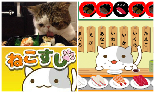 喵星人潛入壽司店大啖美食？！App貓咪迴轉壽司開張啦 貓咪、迴轉壽司、壽司、ねこすし、手機遊戲