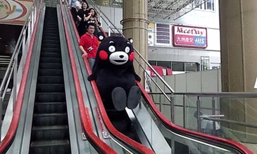 手扶梯不是給你鍛練臂力的地方！熊本熊超有事中二行為特輯 日本、吉祥物、熊本熊、kumamon、くまモン、中二、九州、熊本城、熊本、脫序、可愛、萌、失控、屁孩