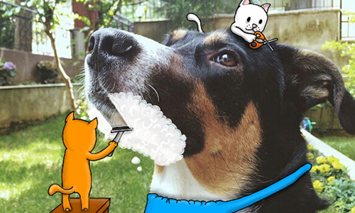 喵星人幫狗大爺刮鬍渣！手機也能創作出插畫與生活作結合的藝術品 surajsirohi1008、藝術、Instagram、手機、創作、創意、生活、結合、有趣、惡搞、趣味、Suraj Sirohi、藝術