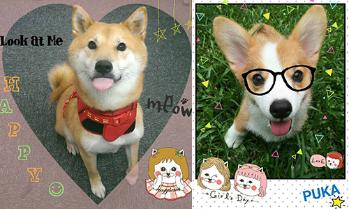 櫻花妹必備的修圖神器！讓少女瘋狂的可愛貼圖都在App《Snapeee》 手機、App、攝影、修圖、snapeee、濾鏡、貼圖、圖章、妞新聞、豹寶
