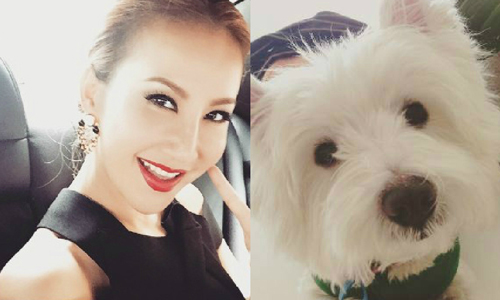 妞快報：「我家狗被賤人毒死了！」 李玟愛犬猝逝崩潰痛罵下毒者 Coco、李玟、愛犬、毒死、賤人、妞快報、狗