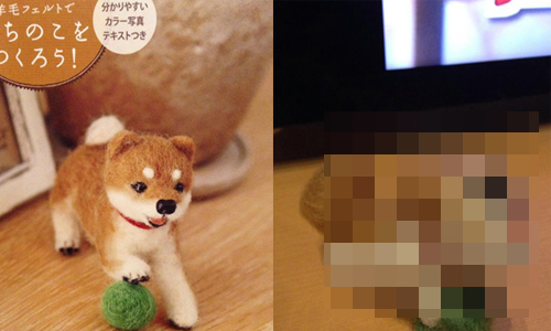 胖萌柴犬一秒變謎樣異形？意圖讓人留下陰影的崩壞羊毛氈合輯 羊毛氈、合輯、柴犬、海豚、陰影、崩壞、有事、笑壞、腹筋崩壞