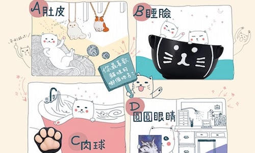 每個人心中都有一隻喵星人？檢測你的貓性格指數 LiKEE、來趣、來趣動物園、貓、貓咪、喵星人、心理測驗、心測、個性