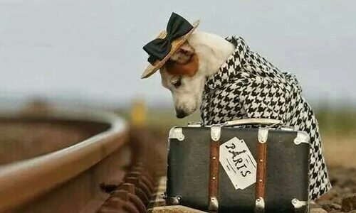 收好行李後，再捨棄三分之一？出發前先聽聽旅遊專家的建議是… 愛玩妞、旅行、專家、建議、叮嚀