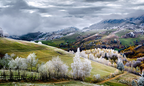 攝影師窮極一生抓住的絕美瞬間！幅幅精采的國家地理旅行者攝影大賽 2015、國家地理、攝影、比賽、藝術
