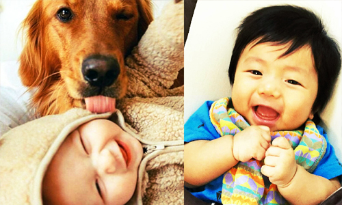 他們以為自己會飛？你不知道的7件寶寶怪事 baby、寶寶、有趣、可愛