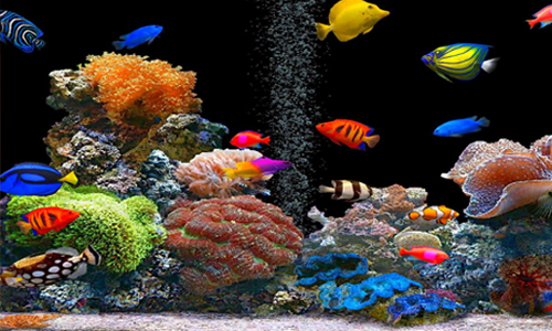 海中的電梯你坐過嗎？世界10大必逛水族館就在這裡 水族館、旅遊、魚