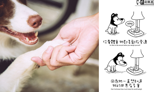 妞專訪：狗狗真心話盡在「狗與鹿」裡？一起偷聽插畫如何出賣牠的心 狗與鹿、妞專訪、插畫、插畫家、毛起來愛上你