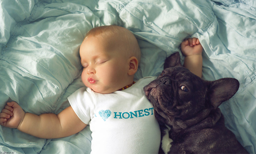 跨物種友情再添一則！療癒系寶寶與法國小鬥牛犬攝影集 Ivette Ivens、鬥牛犬、小孩、寶寶、攝影