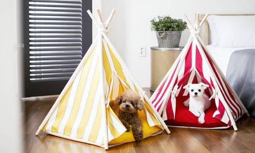 在家也像露營！可愛度爆棚的超人氣狗狗帳篷 帳篷、狗窩、狗狗、汪星人、毛小孩
