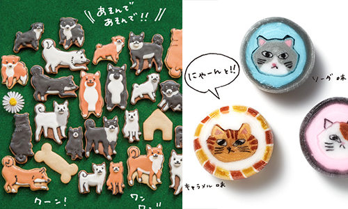 貓肉球vs.柴犬屁屁你選哪一道？日本動物系甜點征服貓奴狗奴 貓、喵星人、狗、汪星人、felissimo