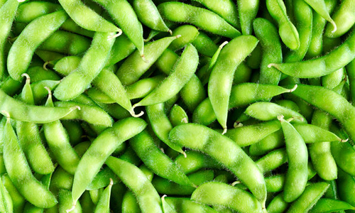 多吃毛豆會變瘦？盤點5種讓你越吃越瘦的食物 瘦身、減肥、減重、食物、瘦