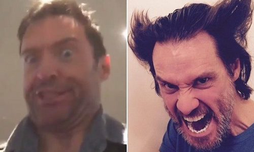 妞快報：輸慘了！金凱瑞化身「金鋼狼」讓休傑克曼也投降 妞快報、金凱瑞、化身、金鋼狼、休傑克曼