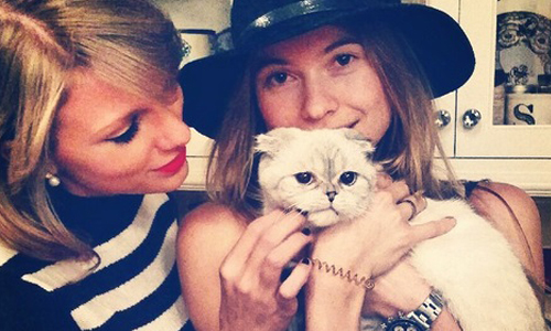 好想變成她們懷裡的貓！女星vs.萌貓可愛大PK 女神、貓、泰勒絲、吉吉哈蒂德、麥莉希拉貝、哈蒂普林思盧、妮可李奇、惡女凱莎