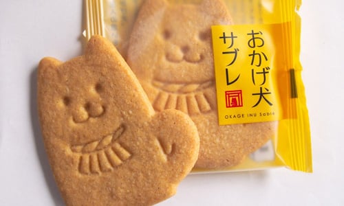 日本超可愛參拜狗狗餅乾　原來背後有這樣暖心故事 日本、伊勢、おかげ犬クッキー、おかげ犬サブレ、土產