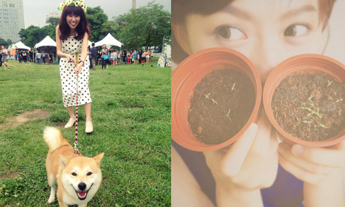 好食物就該配好音樂！讓胃口跟聽覺都大快朵頤的野餐歌單 野餐、 不然趣野餐、歌單、 核桃KurumiQ、 Blue Box 藍色盒子