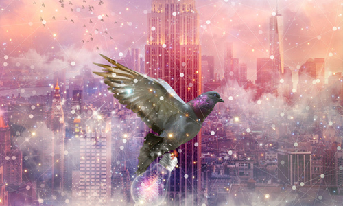 無限神秘星光閃爍的紛紅色的夢 融合夢境與現實的奇幻創作 夢境、夢幻、奇幻、Soaring Anchor Designs、夢