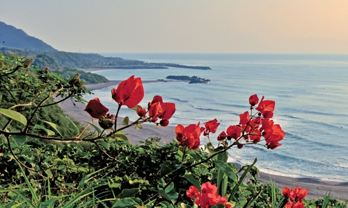 妞專訪：專屬你和他的愛情私密對話　田定豐的旅行文字攝影集 妞專訪、田定豐、攝影、藝術、書