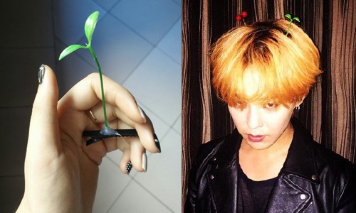 頭頂長了天線？連GD也跟風的「豆芽花髮夾」 豆芽花发卡、豆芽花发夹、中國、四川、成都