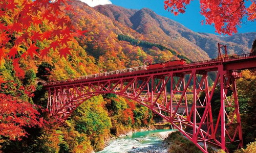 不誇張，全部都能美哭你！日本嚴選8大「死前必去」賞楓景點全公開 愛玩妞、日本、賞楓、死前必去、經典