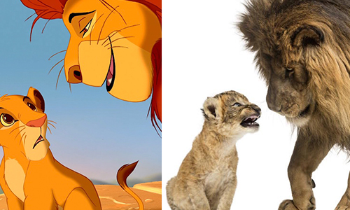 好想摸摸杯麵懷裡的麻糬！真實世界的迪士尼貓咪長這樣 迪士尼、動物、貓、喵星人、貓咪、Disney