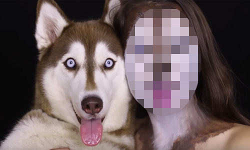 愛到想要變成你的同類！以色列正妹把自己畫成哈士奇 化妝、哈士奇、以色列、正妹、妹子、 Ilana Makeup Artist、make up、骷髏頭、柴郡貓、外星人、虎人、雕像