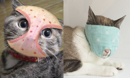 喵星人化身變態內褲假面？！日本「貓咪專用面具」新登場 もふもふマスク、nekozuki、ねこずき、貓、日本、面具、內褲、變態、內褲假面、假面、貓咪專用面具