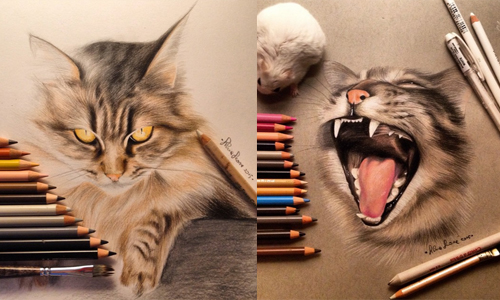 說是相片沒人會懷疑！躍如紙上的超逼真動物手繪 Silvia Leone、instagram、色鉛筆、手繪、動物