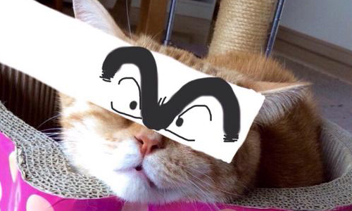 朕就該有這種霸氣眼神！貓奴們為貓咪配上惡搞眼睛 貓咪、眼睛、日本、傲嬌、貓咪蒙太奇