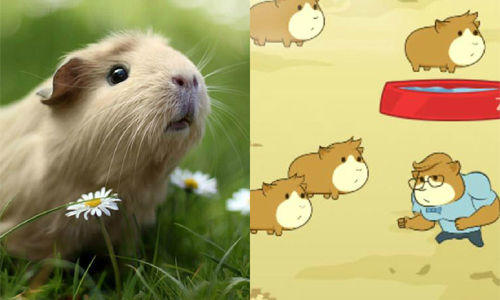吃掉同伴才能超進化！微獵奇天竺鼠養成《Guinea Pig Evolution》 獵奇、天竺鼠、養成、進化、Guinea Pig Evolution