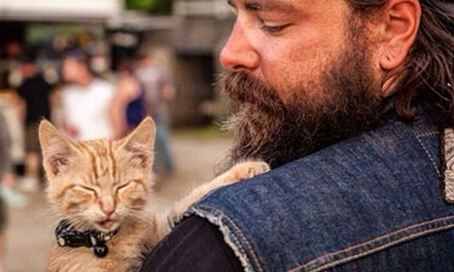 橘色小貓的重機公路之旅！鐵漢與萌貓相遇背後的故事 反差萌、鐵漢柔情、貓咪、重機、Biker