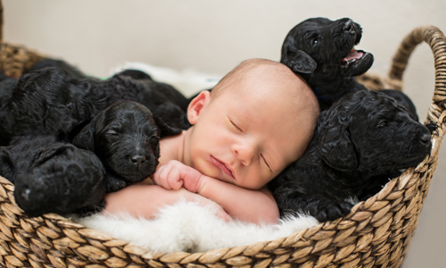 命中注定好夥伴！9隻混血狗狗和寶寶超溫馨紀念照 Park Avenue、Teresa、攝影、加州、寶寶