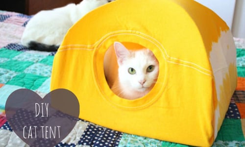 舊T恤不要丟！6步驟DIY輕鬆變身多功能貓咪小窩 貓咪帳篷、貓咪、DIY、舊衣再利用、手做